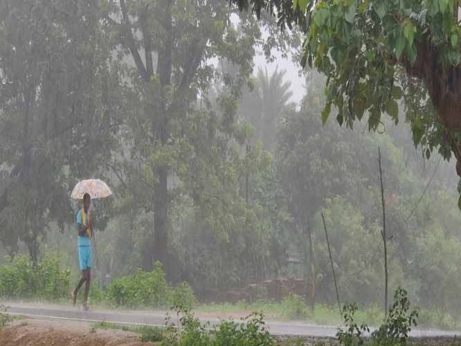 मौसम विभाग ने बस्तर संभााग के साताें जिलाें के लिए जारी किया येलो अलर्ट